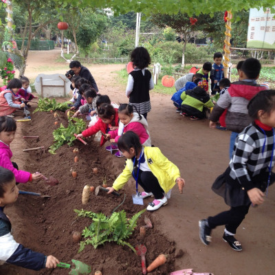 Trẻ được trực tiếp trồng và thu hoạch như bác nông dân thực thụ