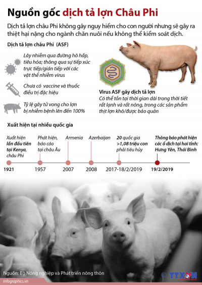 Dịch tả lợn châu Phi đã xuất hiện tại 19 tỉnh thành trên cả nước