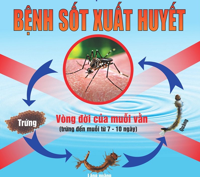 Tăng cường công tác phòng chống dịch Sốt xuất huyết